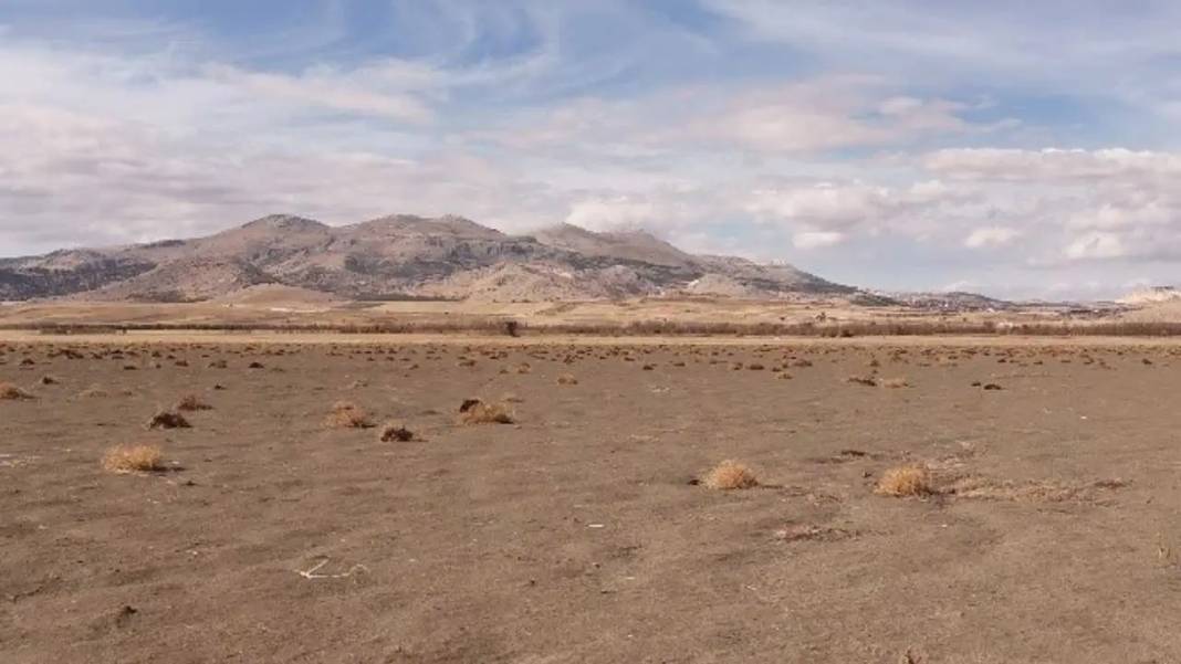 Flamingo Cenneti Karataş Gölü’nde Artık Hayvanlar Otluyor! 1